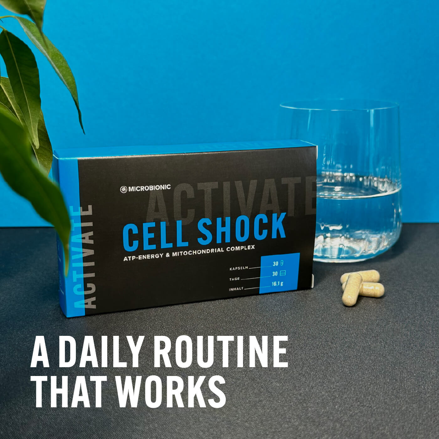 Cell Shock – A Daily Routine That Works